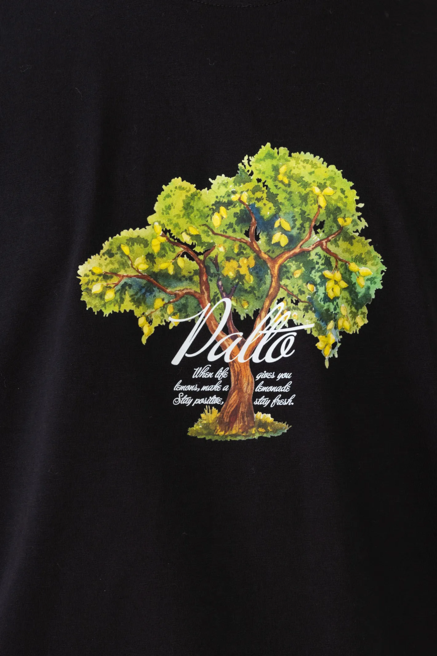 T-shirty-Palto Koszulka Lemon Tree
