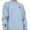 Longsleeve-Carhartt WIP Longsleeve Ducks