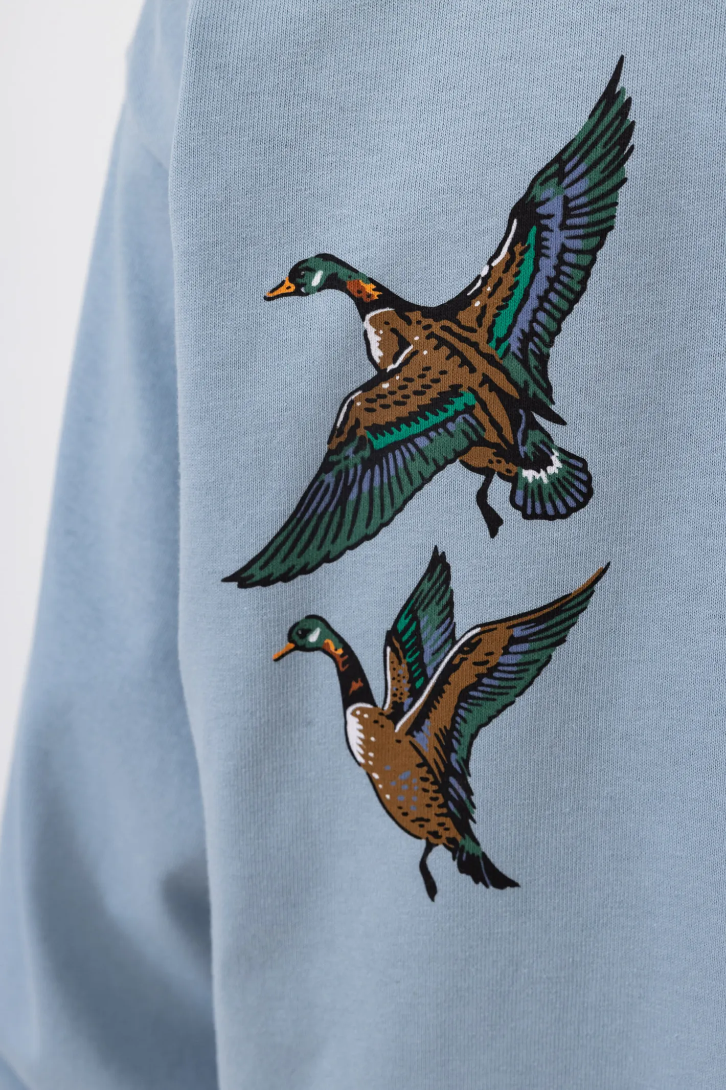 Longsleeve-Carhartt WIP Longsleeve Ducks