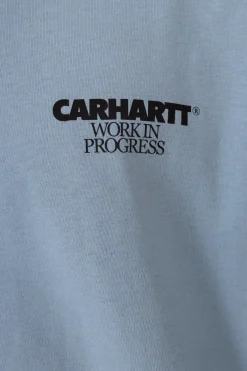 Longsleeve-Carhartt WIP Longsleeve Ducks