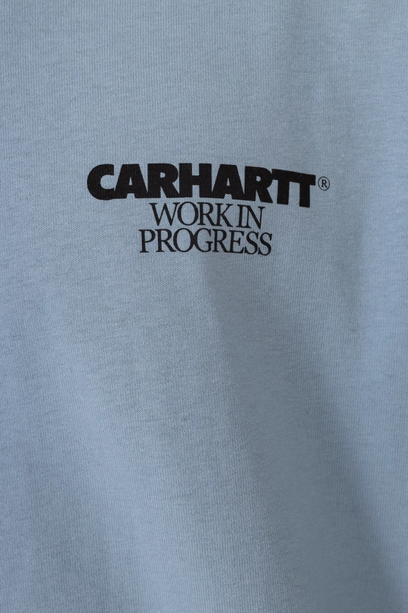 Longsleeve-Carhartt WIP Longsleeve Ducks